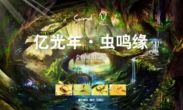 亿光年•虫鸣缘 | 嘉乐琥珀携手石探记全国虫珀巡展即将开幕