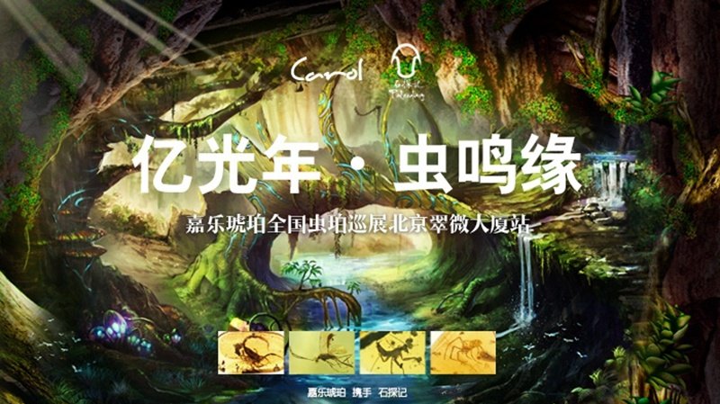 亿光年•虫鸣缘 | 嘉乐琥珀全国虫珀巡展首站 翠微大厦站即将开幕