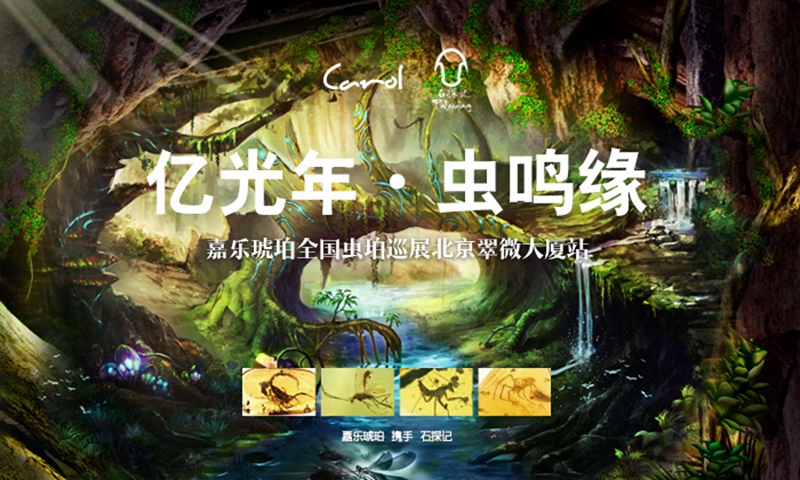亿光年•虫鸣缘 | 嘉乐琥珀携手石探记全国虫珀巡展翠微大厦站圆